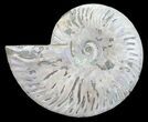 Silver Iridescent Ammonite - Madagascar #54886-1